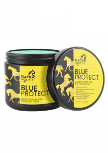 BLACK HORSE Pasta siarczanowa do strzałek Blue Protect 500 ml